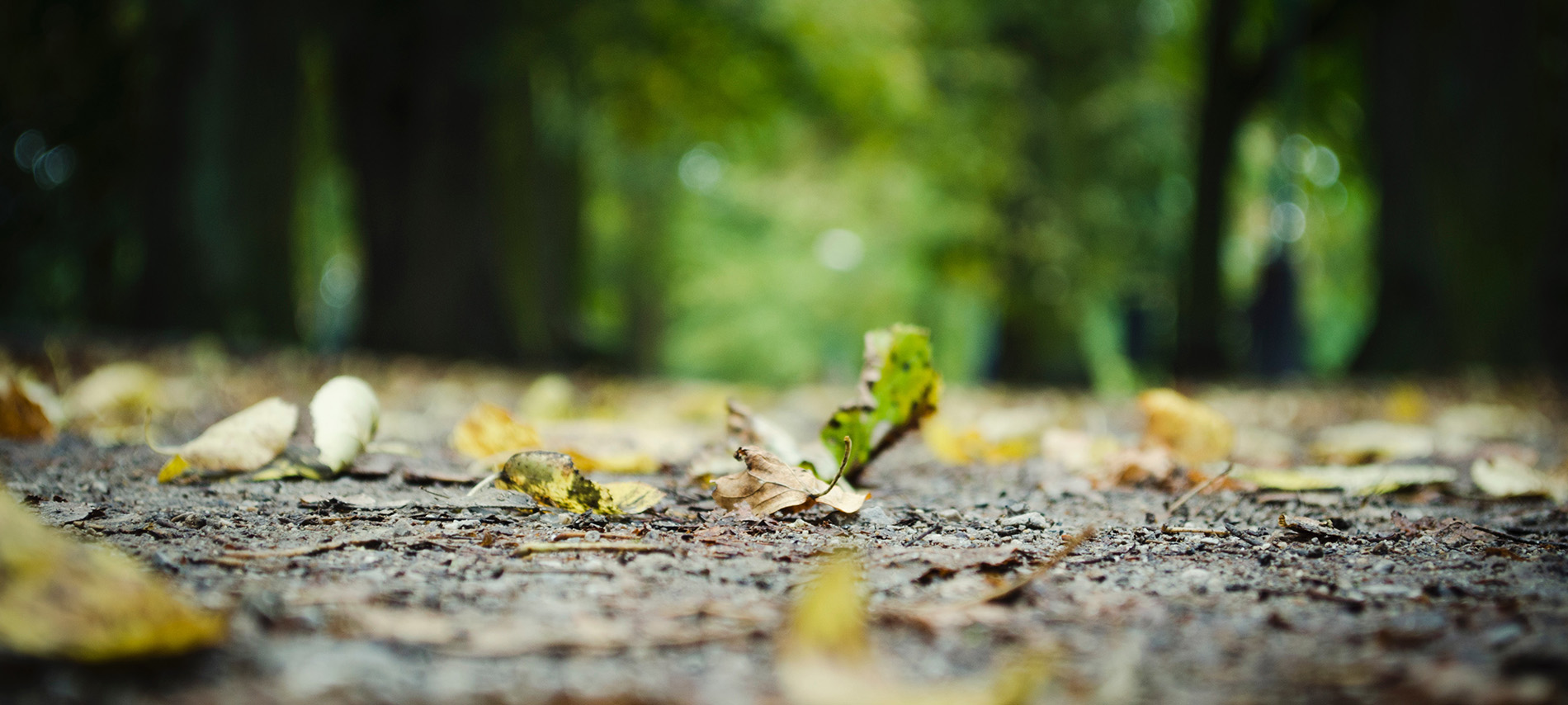 Mario Pramberger Unternehmenshandwerk
